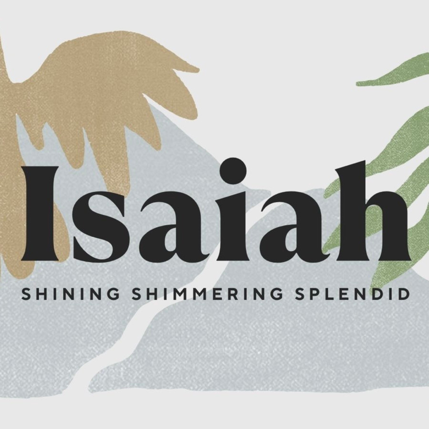 Isaiah 49:14-26 | Engraved on the Palms of His Hands | Mitch Spence